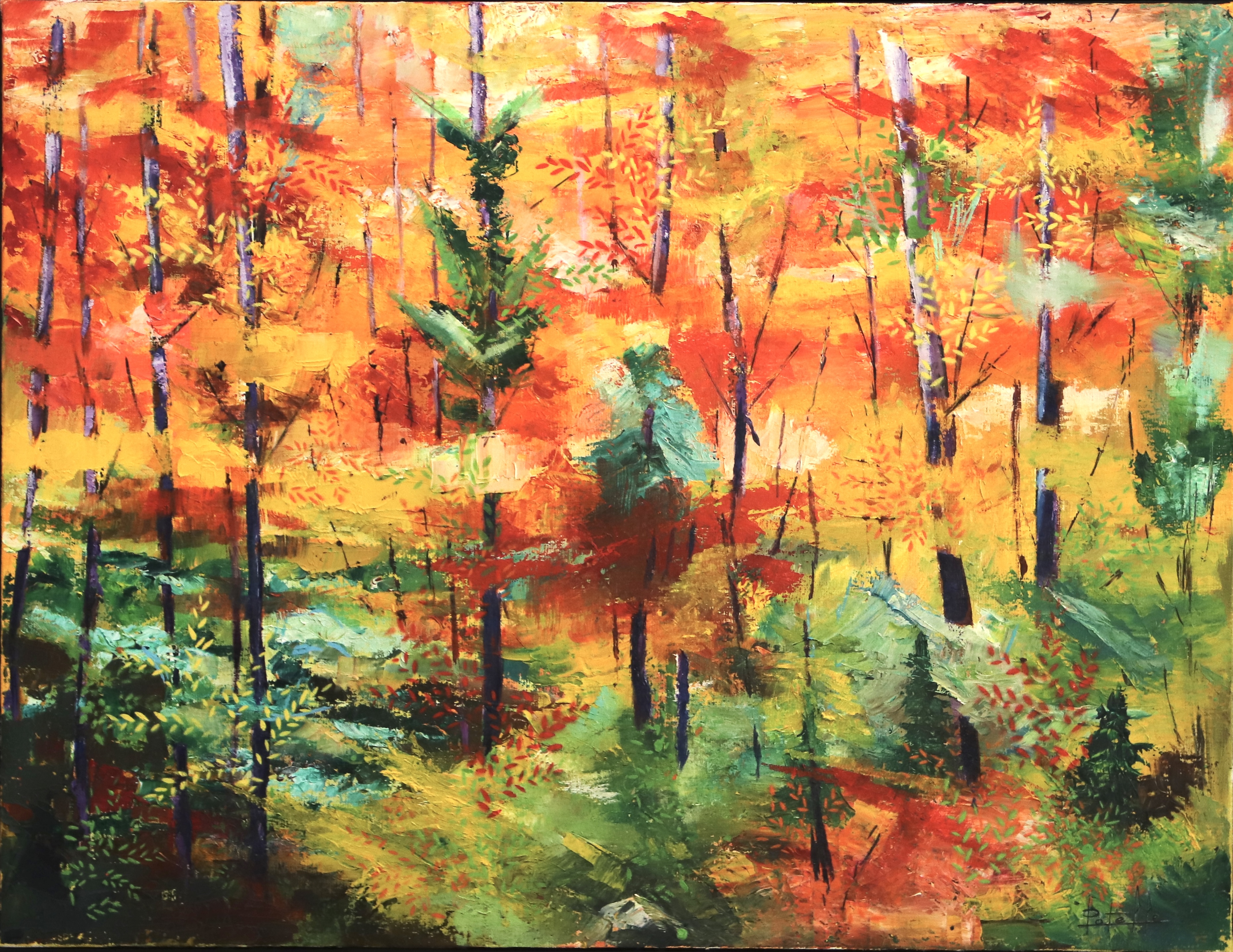 Forêt d’automne Forêt d’automne
