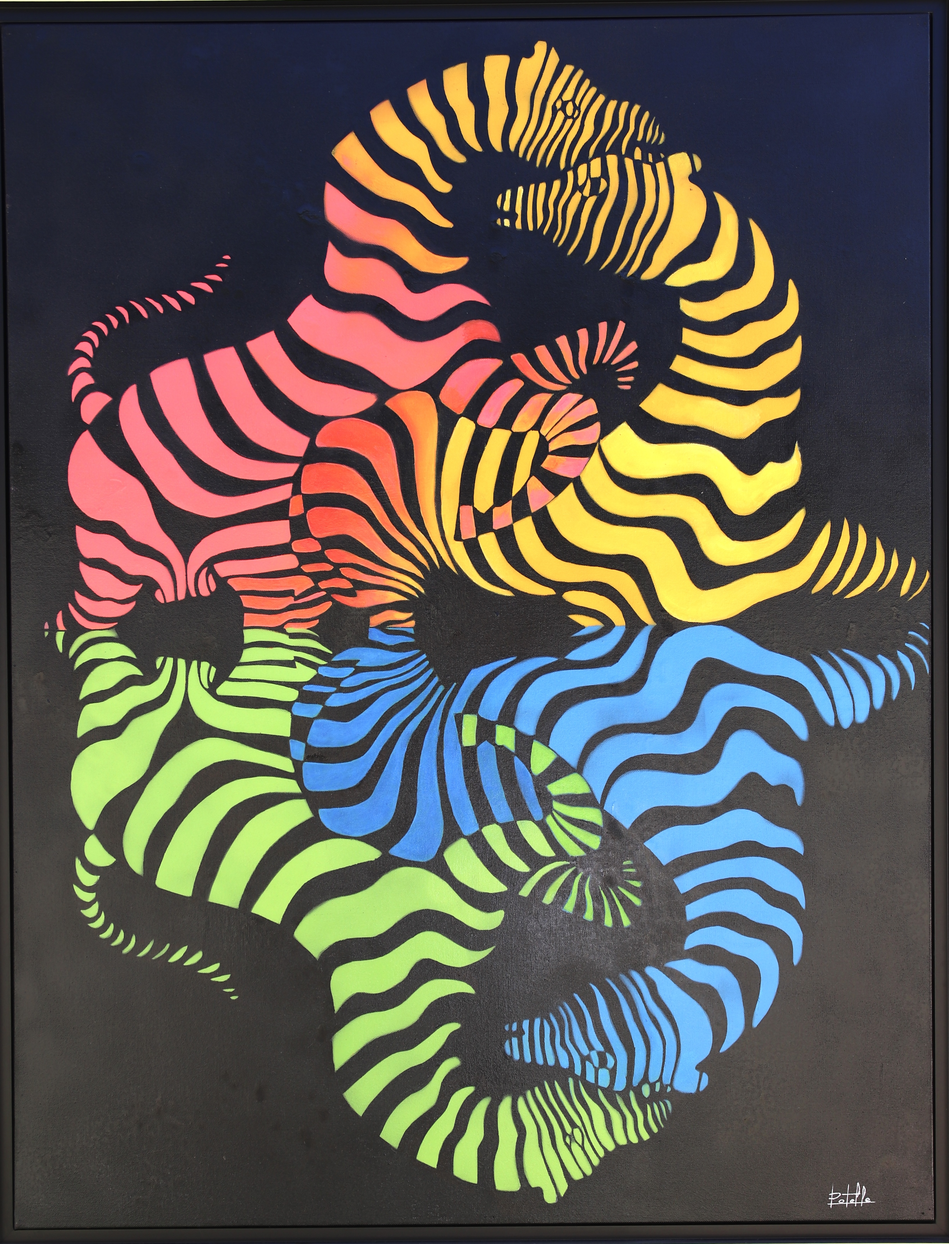 Zèbres Vasarely